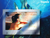 Monix 20~42 WaterProof LCD Monitor/TV