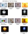 LED light bulbs & Auto bulbs