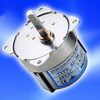 SD-94 Synchronous Motor ( Reversible )