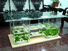 桌型生態魚缸