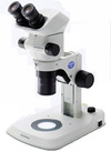 Olympus 實體顯微鏡 SZX7