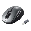 IntVisio WO Mouse 1024G