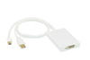 Mini DP and USB to Dual-Link DVI Adapter