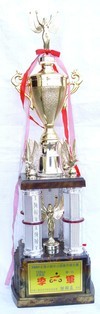 得獎紀錄  2007 全國小綿羊公認套件積分賽第一站 125CC改裝組 季軍