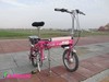 小摺購物車 　KANGCHI Folding Electric Bike