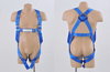 背負式安全帶 Full Body Harness