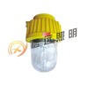 防爆平台灯 BPC8730  