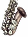 Pro-Grade Alto Saxophone