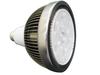 LED PAR30 投射燈 (3000K) 10W