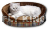 ＊寵愛寶貝＊寵物床墊－優雅格紋系列