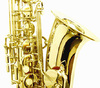 Alto Saxophone (USD $160) (OEM)