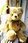 70cm泰迪熊(白色，粉紅色，棕色)