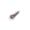 Stainless Screw